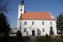 IMGP0369
