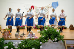 ZOS06543