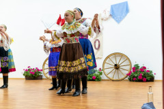 ZOS06678