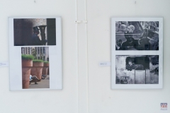 ZOS SENICA_AMFO 2018_025