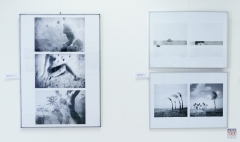 ZOS SENICA_AMFO 2018_027