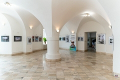zos_amfo_2020_vystava-16