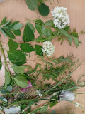 IMG_20260715_174407