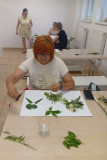 IMG_20260715_175253