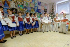 ZOS SENICA_COV 2017_005