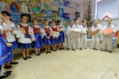 ZOS SENICA_COV 2017_006