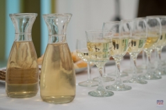 _ZOS SENICA_CYRIL GAJDIK 2016_017