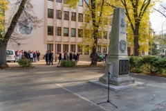 ZOS02523