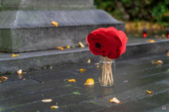 ZOS03659_Edit