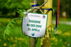 ZOS SENICA_DZ2016_016