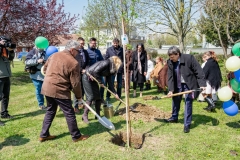 ZOS SENICA_DZ2017_SENICA_022
