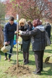 ZOS SENICA_DZ2017_SENICA_029