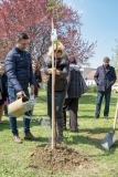 ZOS SENICA_DZ2017_SENICA_030