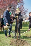 ZOS SENICA_DZ2017_SENICA_032