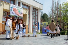 ZOS SENICA_DZ2017_SENICA_045