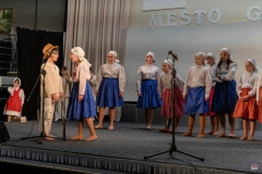 ZOS06699
