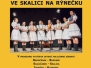 DFS SKALICA 2015