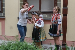 ZOS SENICA_DFS SKALICA 2015_019