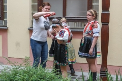 ZOS SENICA_DFS SKALICA 2015_020