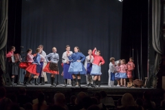 ZOS SENICA_DFS SKALICA 2015_045