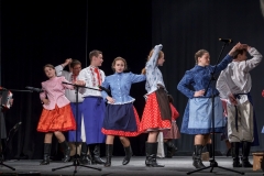 ZOS SENICA_DFS SKALICA 2015_048