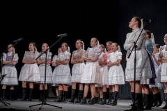 ZOS SENICA_DFS SKALICA 2015_074