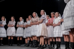 ZOS SENICA_DFS SKALICA 2015_076