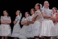 ZOS SENICA_DFS SKALICA 2015_077