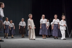 ZOS SENICA_DFS SKALICA 2015_087