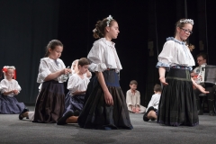 ZOS SENICA_DFS SKALICA 2015_098