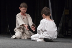 ZOS SENICA_DFS SKALICA 2015_100
