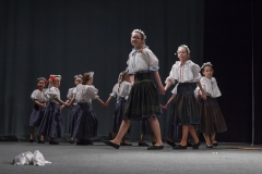 ZOS SENICA_DFS SKALICA 2015_101
