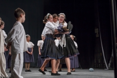 ZOS SENICA_DFS SKALICA 2015_107