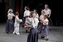 ZOS SENICA_DFS SKALICA 2015_122