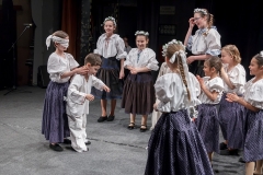 ZOS SENICA_DFS SKALICA 2015_123