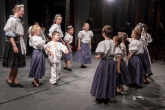ZOS SENICA_DFS SKALICA 2015_127