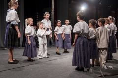 ZOS SENICA_DFS SKALICA 2015_128