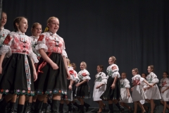 ZOS SENICA_DFS SKALICA 2015_130