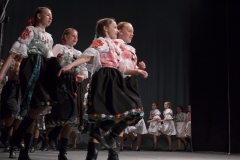 ZOS SENICA_DFS SKALICA 2015_131