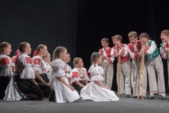 ZOS SENICA_DFS SKALICA 2015_136