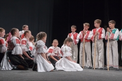 ZOS SENICA_DFS SKALICA 2015_137