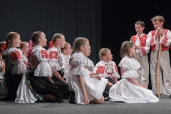 ZOS SENICA_DFS SKALICA 2015_138