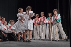 ZOS SENICA_DFS SKALICA 2015_140