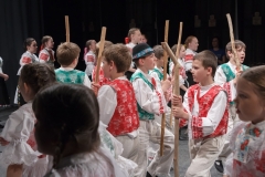 ZOS SENICA_DFS SKALICA 2015_148