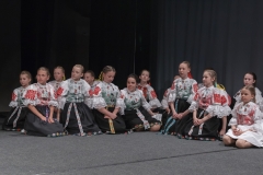 ZOS SENICA_DFS SKALICA 2015_151