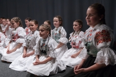 ZOS SENICA_DFS SKALICA 2015_153