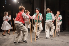 ZOS SENICA_DFS SKALICA 2015_161