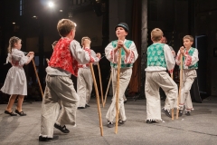 ZOS SENICA_DFS SKALICA 2015_162