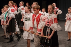 ZOS SENICA_DFS SKALICA 2015_164