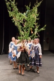 ZOS SENICA_DFS SKALICA 2015_170